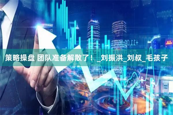 策略操盘 团队准备解散了！_刘振洪_刘叔_毛孩子
