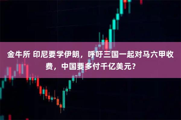 金牛所 印尼要学伊朗，呼吁三国一起对马六甲收费，中国要多付千亿美元？