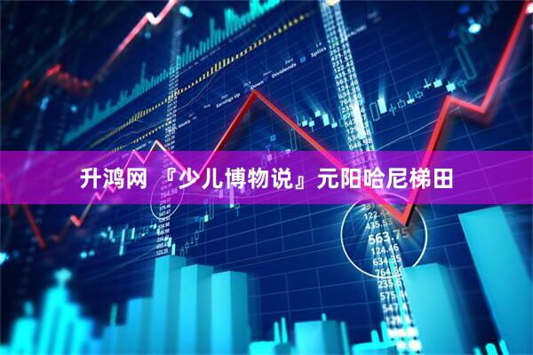 升鸿网 『少儿博物说』元阳哈尼梯田