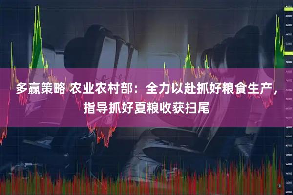 多赢策略 农业农村部：全力以赴抓好粮食生产，指导抓好夏粮收获扫尾